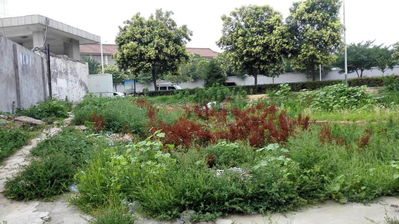孟津县有多少人口_孟津县地图(2)