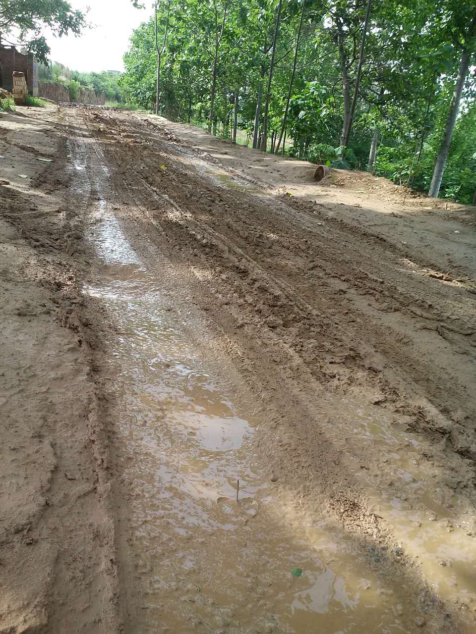 孟津縣葉溝村道路泥濘無人管理