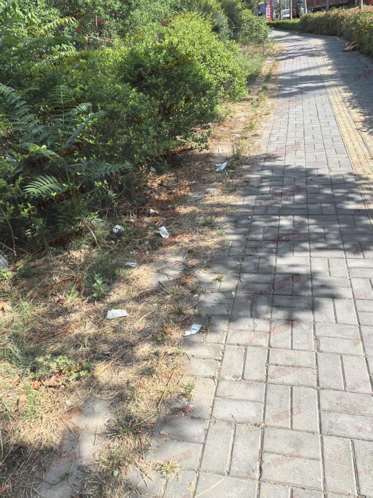 洛阳网百姓呼声