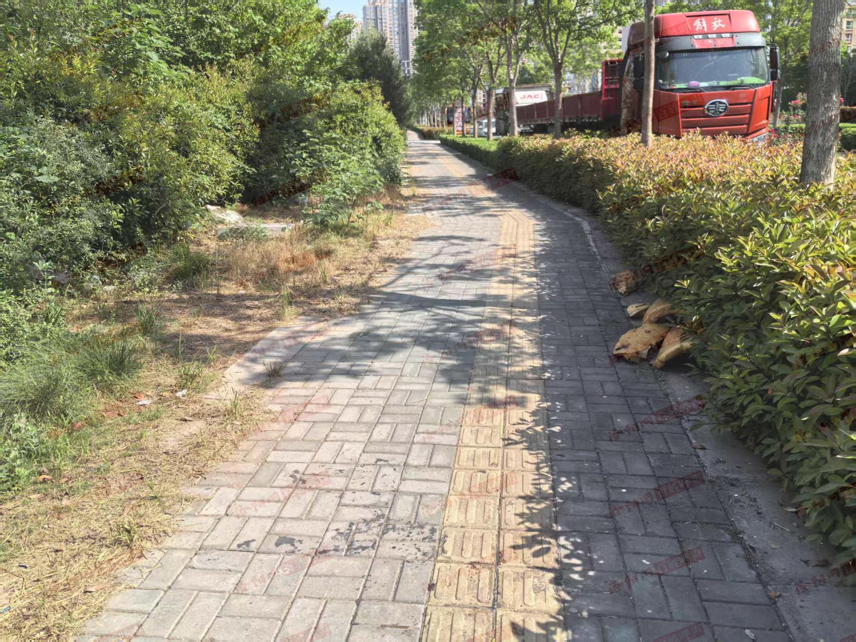 洛阳网百姓呼声