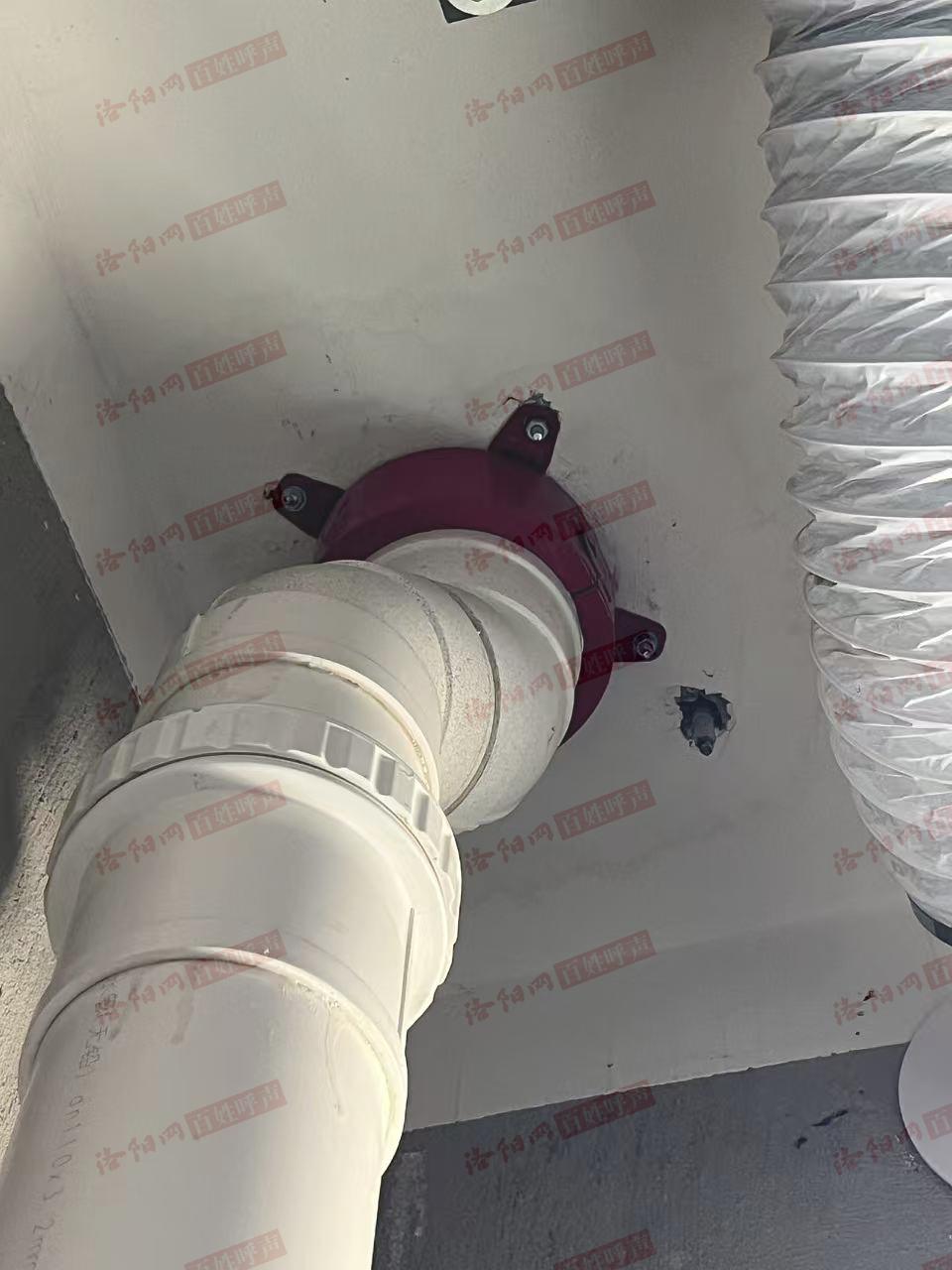 洛阳网百姓呼声
