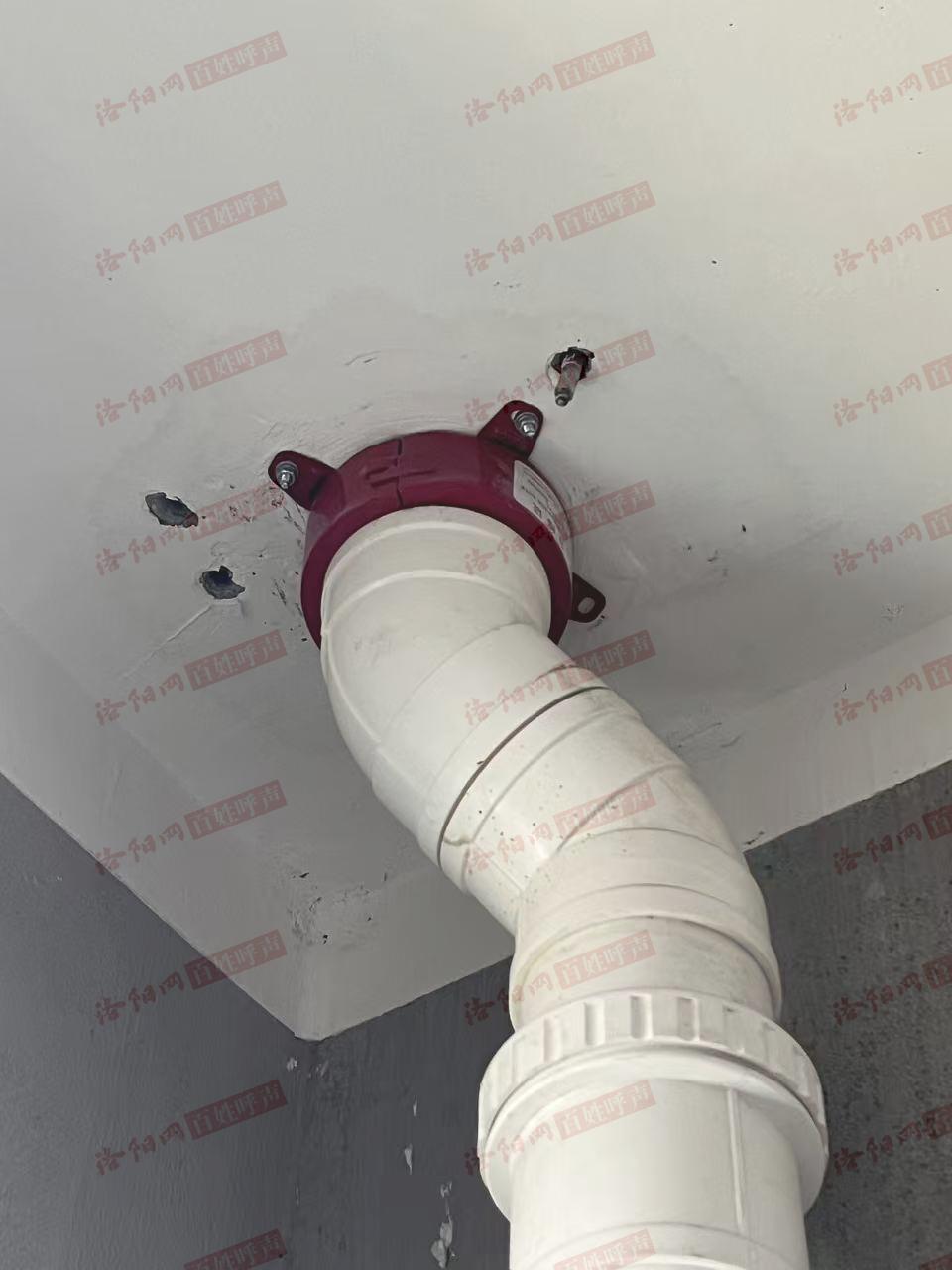 洛阳网百姓呼声