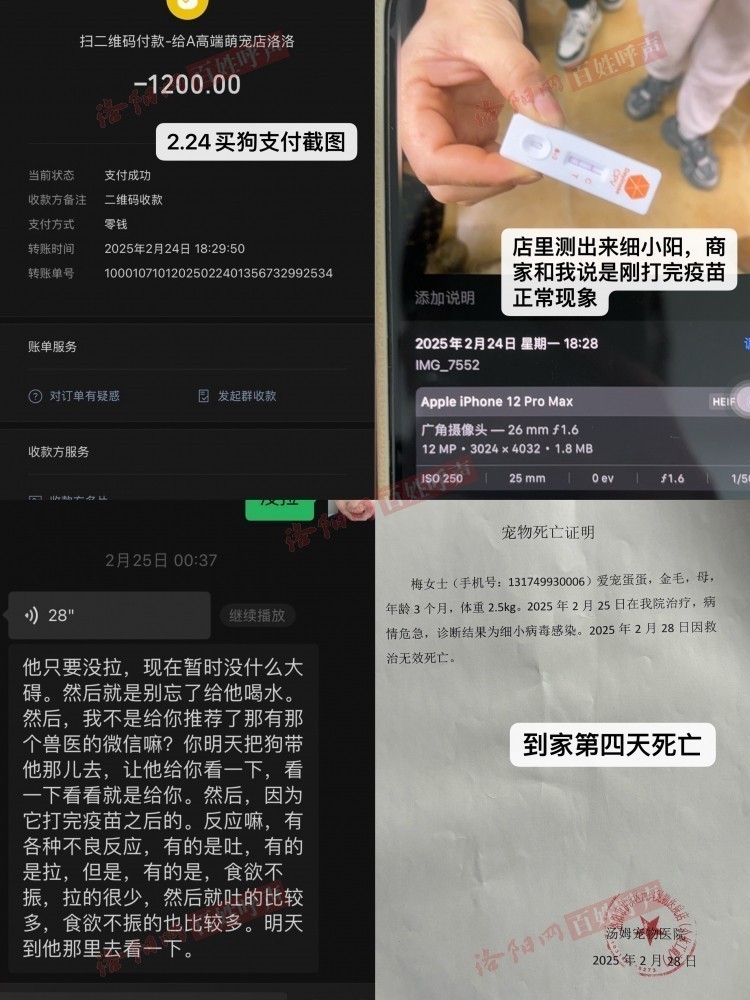 洛阳网百姓呼声