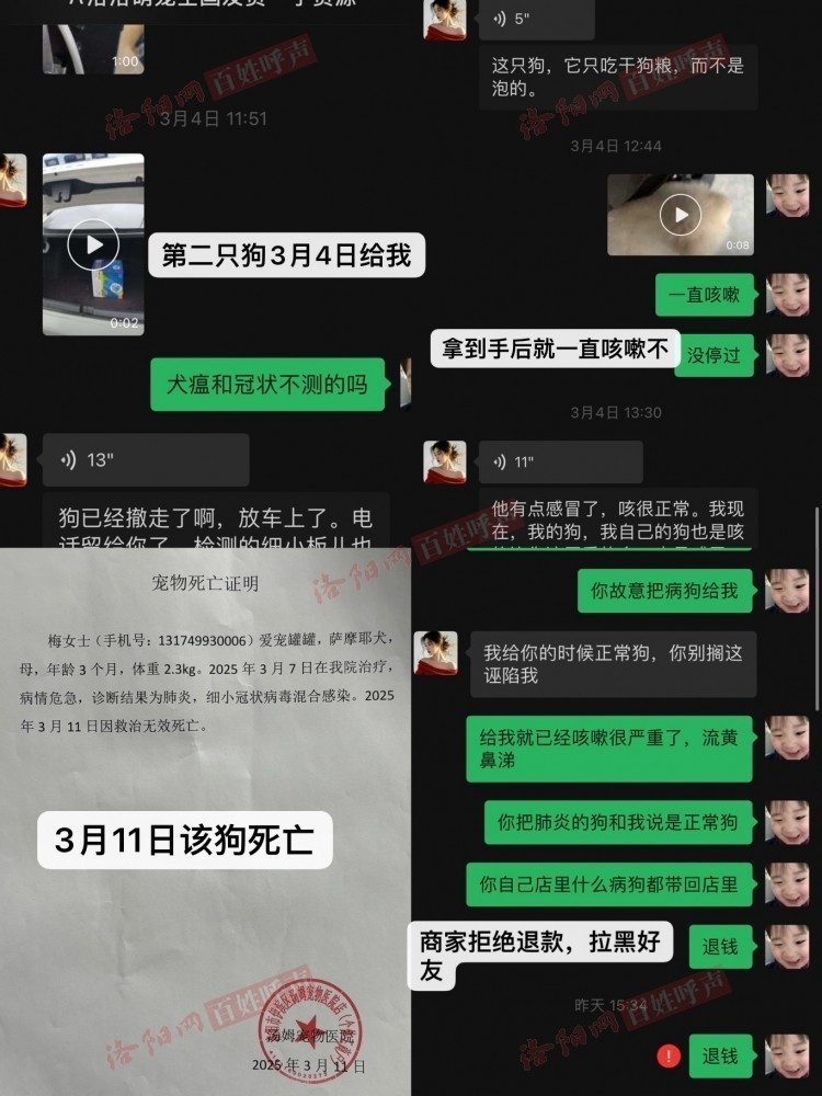 洛阳网百姓呼声