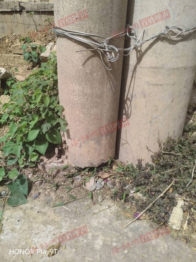洛阳网百姓呼声