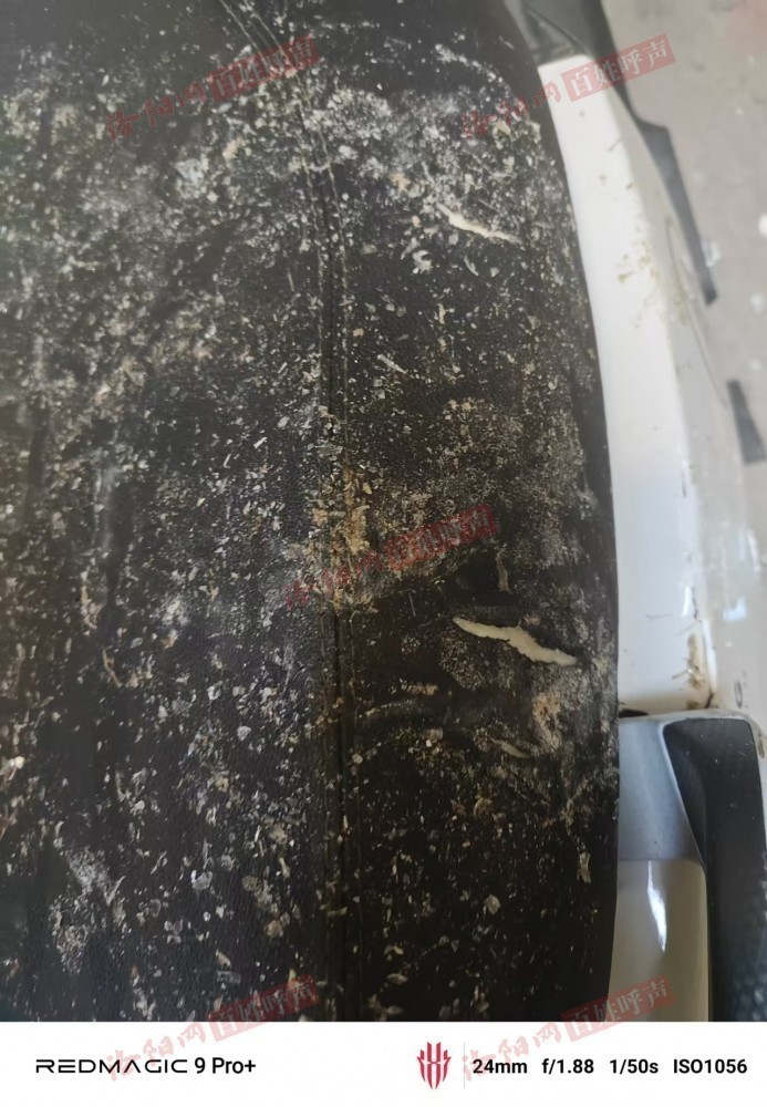 洛阳网百姓呼声