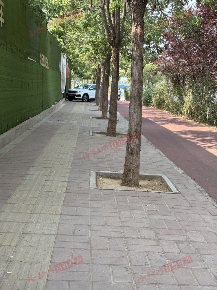 洛阳网百姓呼声