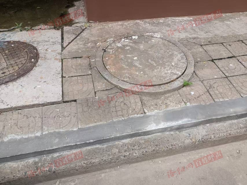 洛阳网百姓呼声