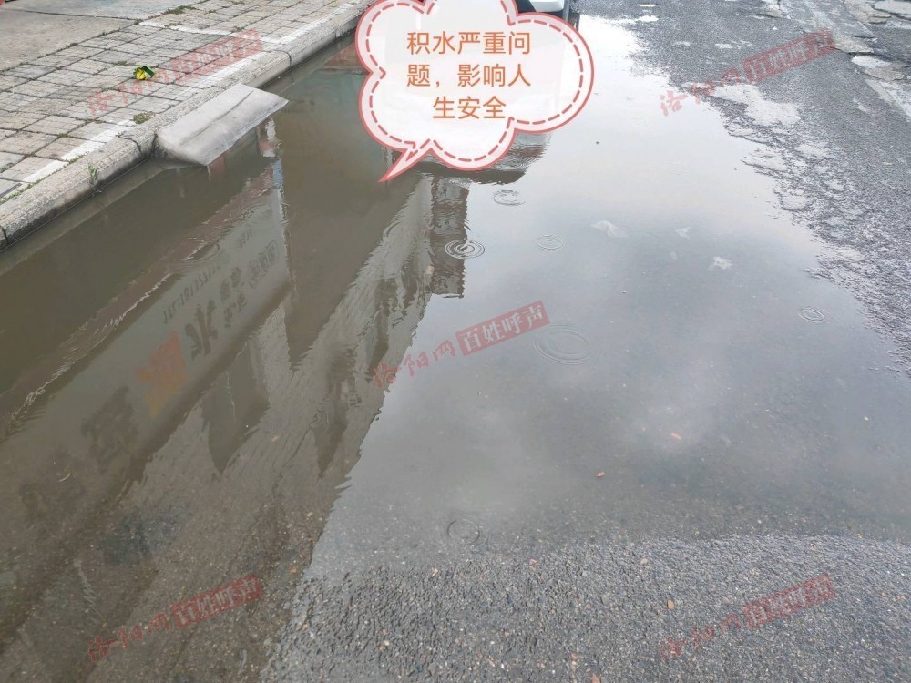 洛阳网百姓呼声