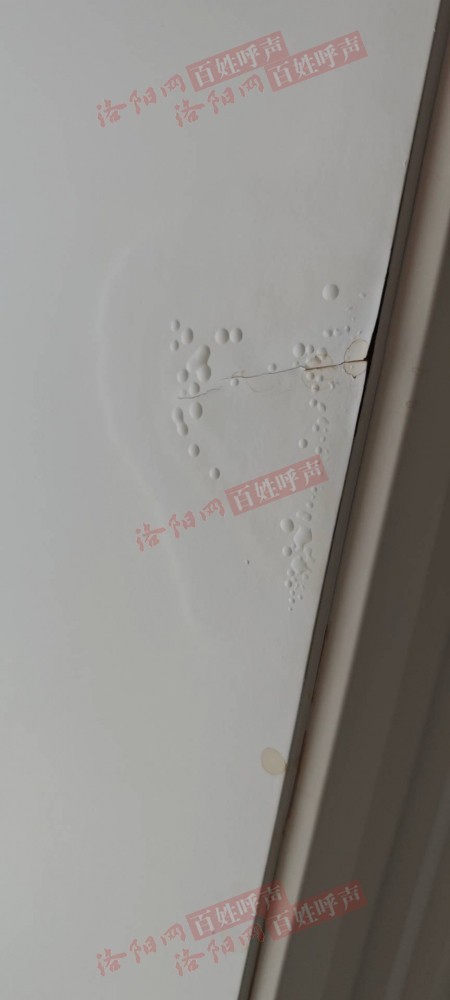 洛阳网百姓呼声