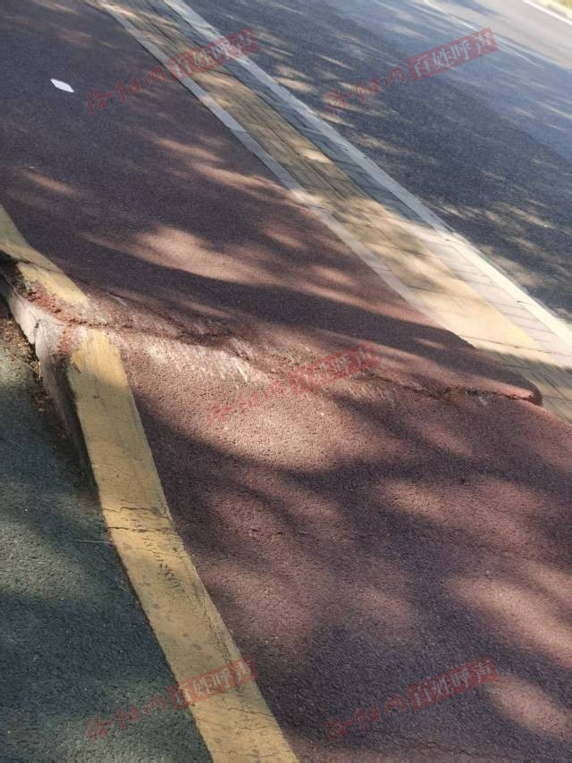 洛阳网百姓呼声