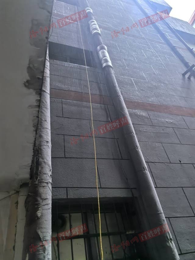 洛阳网百姓呼声