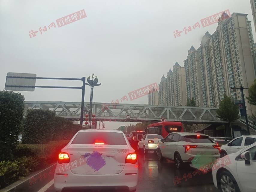 洛阳网百姓呼声
