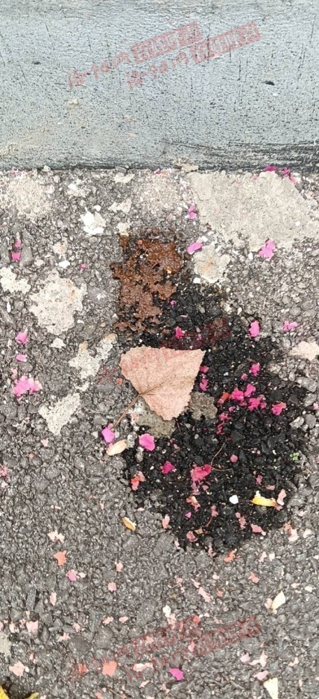 洛阳网百姓呼声