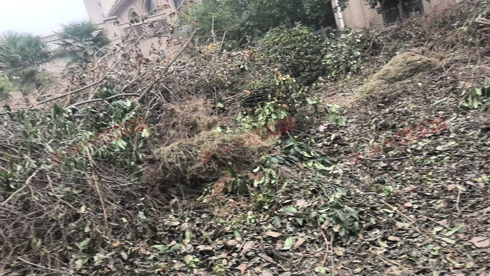 洛阳网百姓呼声